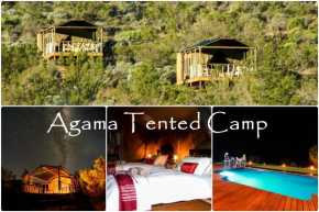 Agama Tented Camp